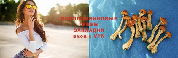 ПСИЛОЦИБИНОВЫЕ ГРИБЫ Остров