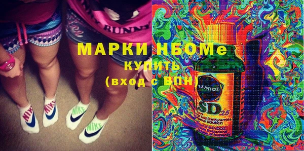 соль ск Няндома