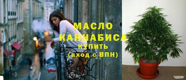 соль ск Няндома